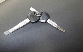 HONDA REBEL 250 2018 MC49