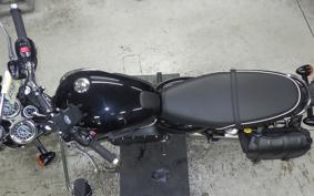 TRIUMPH BONNEVILLE T100 2024