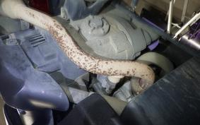 YAMAHA JOG ZR-4 SA58J