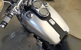 HARLEY FXDL 100th 2002 GDV