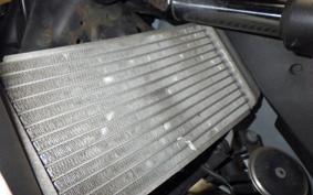 HONDA CBR250R GEN 3 MC41