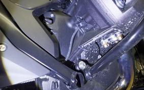 BMW R1300GS 2024