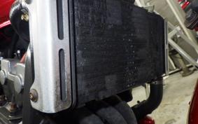 HONDA HORNET 250 2018 MC31