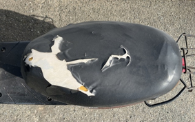 OTHER  JOG  POCHE -2