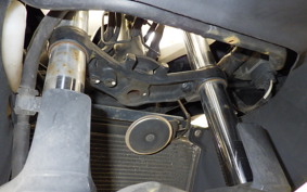 KAWASAKI NINJA 250 EX250L