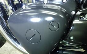 KAWASAKI W800 2011 EJ800A