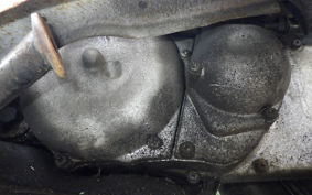 OTHER +RABBIT125 S301