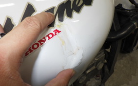 HONDA HORNET 250 2023 MC31