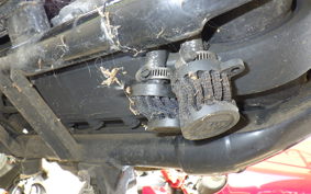 HARLEY XL1200C 2005