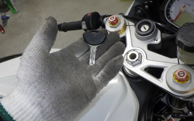 BMW S1000RR 2010