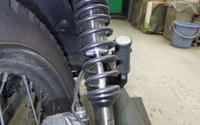 OTHER +UNREGISTERED MODEL by BDS250 1992