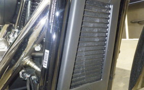 HARLEY FXBB1920 2025