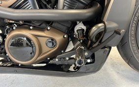 HARLEY RH1250S 2022 ZC4