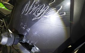 KAWASAKI NINJA 400 2019 EX400G