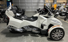 OTHER KANNAMUSPYDER RT LIMITED  2017 NBD