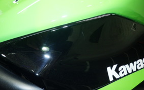 KAWASAKI NINJA 250 SL BX250A