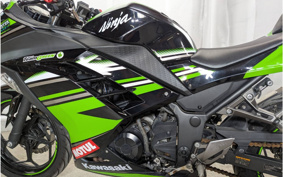 KAWASAKI NINJA 250 EX250L