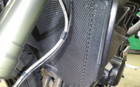 TRIUMPH STREET TRIPLE RS 2023