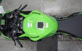 KAWASAKI NINJA ZX-6R A 2026 ZX636J