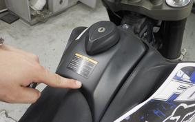 YAMAHA WR250X DG15J