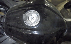 KAWASAKI NINJA 250 EX250L