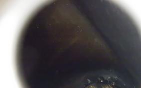 HARLEY XL1200CI 2010