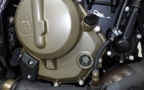 HUSQVARNA SVARTPILEN 401 2024