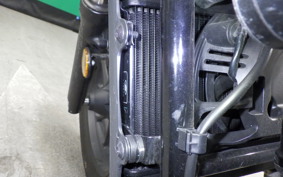 HONDA REBEL 250 A 2019 MC49