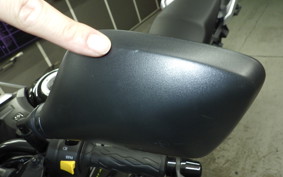 SUZUKI V-STROM 250 A 2009