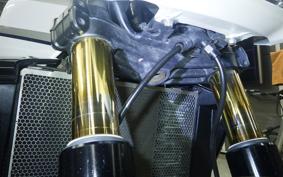 KAWASAKI ZRX1200 D 2009 ZRT20D