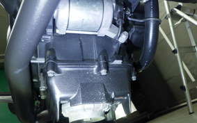 HONDA VTR 250 Gen. 2 MC33