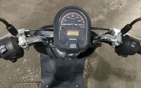 HONDA DUNK AF78
