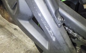 KAWASAKI ZX 10 NINJA RR 2017