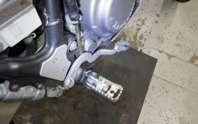 KAWASAKI SUPER SHERPA