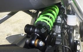 KAWASAKI ZX-4RR 2024 ZX400P