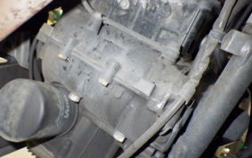 KAWASAKI NINJA 250 EX250L