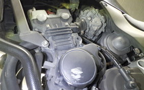 HONDA HORNET 250 2021 MC31