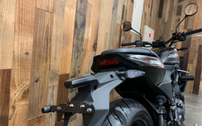 HARLEY  HARLEY X350 2024 W3C