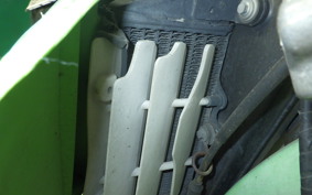 KAWASAKI KLX250 2021 LX250E