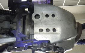 YAMAHA TT250R RAID 2013 4GY