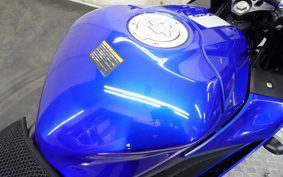 YAMAHA YZF-R25 RG43J