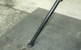 OTHER +UNREGISTERED MODEL by BDS125 2025