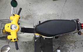 HONDA C110 SUPER CUB