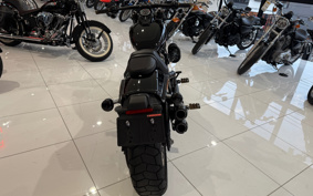 HARLEY FXFBS 2019 YLK