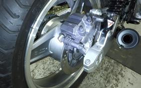 KAWASAKI ZEPHYR 750 2025