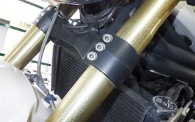 TRIUMPH SPEED TRIPLE 2007