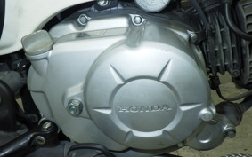HONDA ｸﾛｽｶﾌﾞ50 2025 AA06