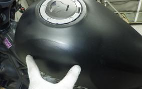 HONDA REBEL 250 2021 MC49
