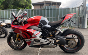 DUCATI PANIGA-REV4S CORSE