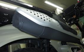 HONDA CT125 HUNTER CUB 2024 JA55